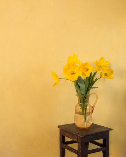 Peace can be found in every corner. Yellow tulips in a peach vase. On a dark brown stool in front of the yellow background.