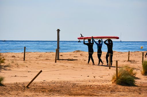 young people carrying surfboard on the beach