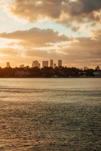 A vertical shot of the sea against the cityscape and palm trees on the beach at cloudy sunset