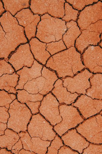 A closeup shot of cracked mud