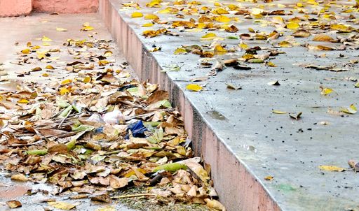 A close up shot of colorful autumn leaves on the cement floor