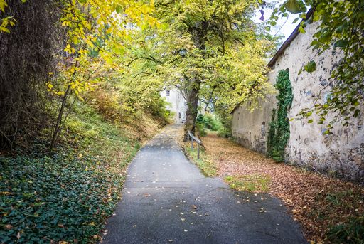 A beautiful view of a narrow asphalt road with fallen autumn leaves on its both sides by a white wall during daytime