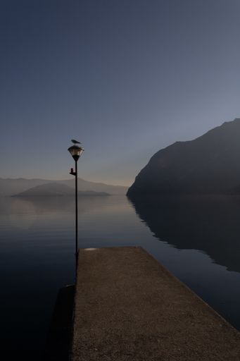 A vertical shot of a  street lamp and a seagull on it near the Iseo lake, Italy