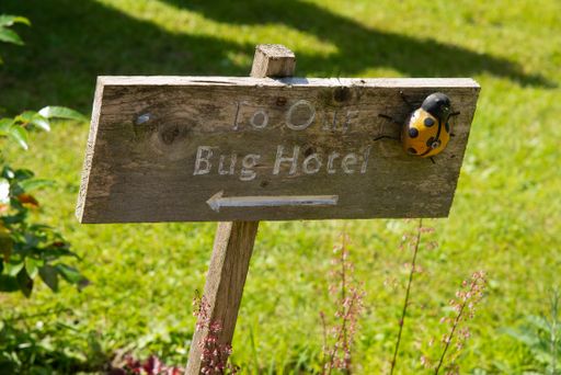 A wooden garden sign with arrow to Bug hotel with ladybir