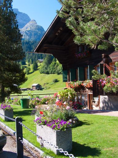 a vertical shot of wooden house with flower pots against mountains