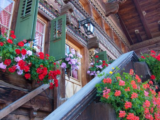 a closeup shot of small wooden house covered with flower pots