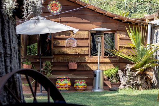 A wooden cabin green plants and a beautiful backyard