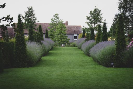 A beautiful shot of a garden symmetrically surrounded by bushes and spruces.