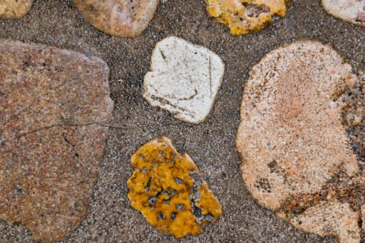 A closeup shot of a concrete surface with rocks in different shapes