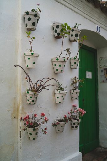 A vertical shot of cute plant pots on the wall in a small town in Spain