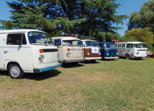 Several old Volkswagen Type 2 T2 Camper Kombi vans parked on the grass with trees on the background. Suda VW classic car show. Copyspace.