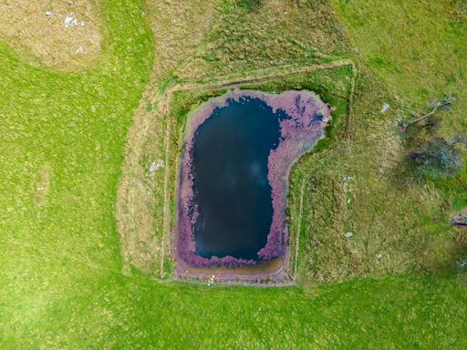 An aerial view of a pond in Wellington Vale, New South Wales, Australia