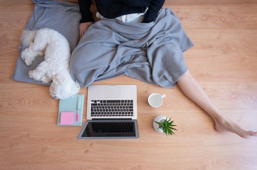 A top view of a young female with working from home during COVID-19 pandemic and a cute fluffy puppy