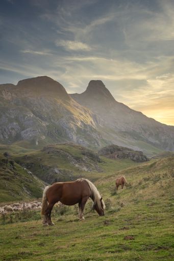 A vertical shot of two horses grazing peacefully at the Pyrenees mountain landscape during sunset