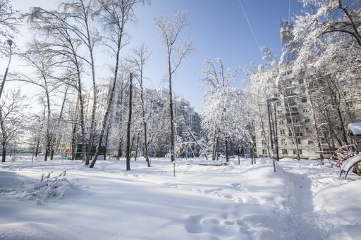 A beautiful shot of trees in a park completely covered in snow during winter in Moscow, Russia
