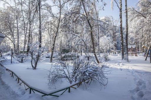 A beautiful shot of trees in a park completely covered in snow during winter in Moscow, Russia
