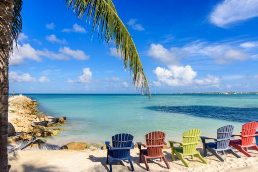 A horizontal shot of a beautiful view of the sea and beach with a palm tree and colorful beach chairs during daylight