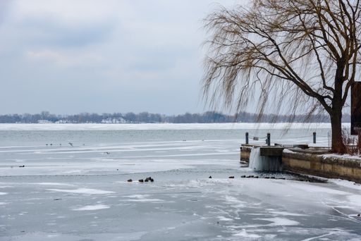 A beautiful shot of a lake and pier at winter, with the water frozen and dead trees during daylight