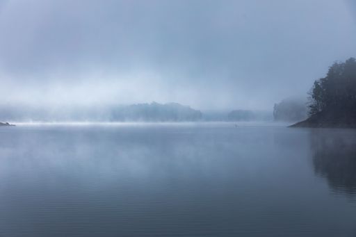 A heavy fog over the lake with reflection of trees