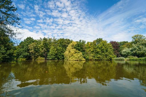 A beautiful shot of lush trees reflecting on a green water under a blue cloudy sky