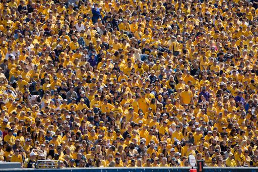 The football fans in the stadium at a West Virginia University college football game