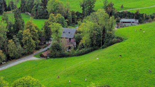 A beautiful view of old houses in a green field on a sunny day