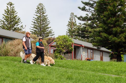An elderly couple walking with dogs at Kiama South Coast NSW Australia