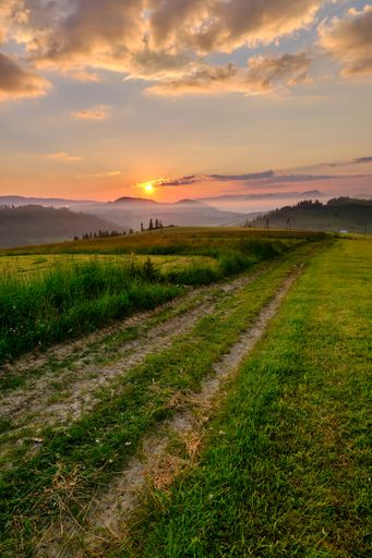 A vertcal shot of a green field at sunset with mountains hidden behind a fog in the background