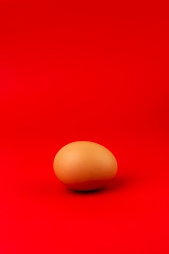 A vertical side shot of a country egg on a bright red background.