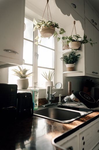 A vertical shot of the morning sunlight shining into a classic style kitchen with plants by the window