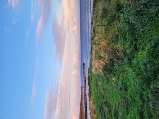 A beautiful landscape view of green grass and plants growing by the water against blue cloudy sky in the morning