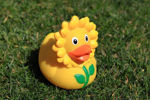 A yellow rubber duck on the grass under the sunlight
