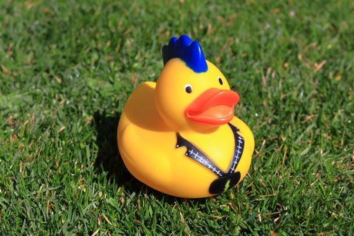 A funny yellow rubber duck on green grass in the park on a sunny day