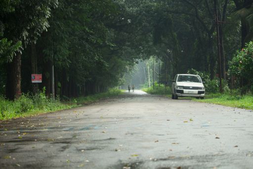 19-Oct-2020  Dhaka, Bangladesh.Wide road through the middle of the forest.