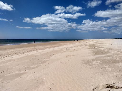 A beautiful shot of a seashore under a cloudy sky