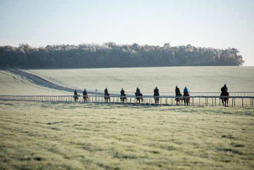 A group of men riding horses in a ranch in Newmarket, Ontario, Canada