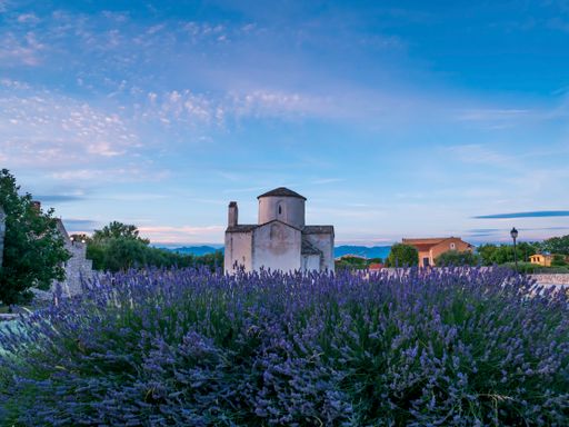 The Church of the Holy Cross, the smallest cathedral in the world, Nin, Croatia.Lavender field in front.