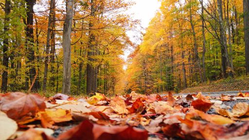 A beautiful shot of West Virginia in the United states during autumn