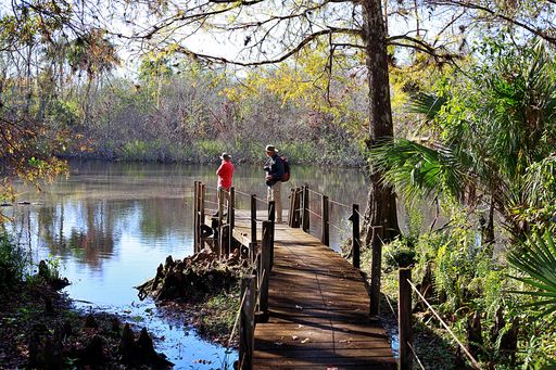 Two men standing on a wooden pier with a view of a small lake surrounded by trees
