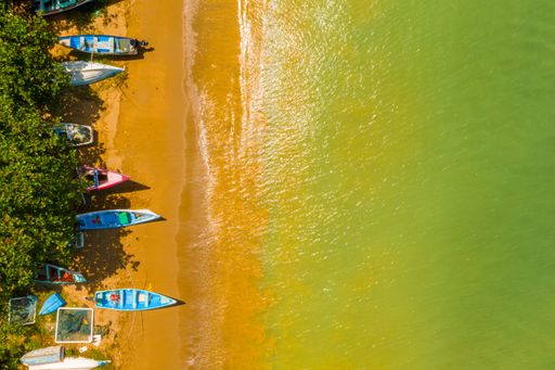 An aerial overhead shot of a tropical coast with boats and palm trees near the Caribbean sea