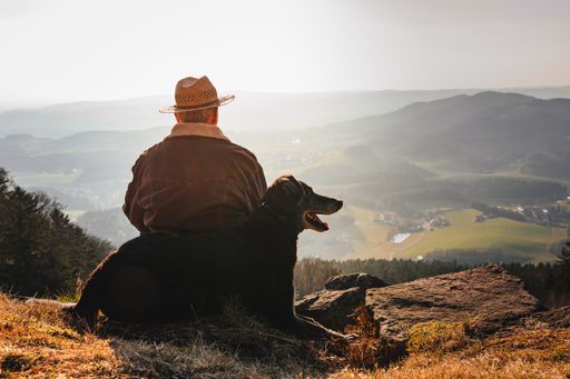 A man with a dog enjoying a beautiful view while sitting on top of a rocky mountain