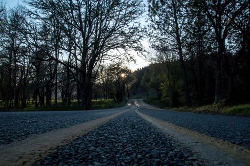 A low angle shot of an asphalt road in a park with trees on the sides against a blue sunset sky
