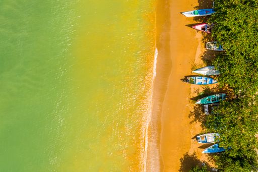 An aerial overhead shot of a tropical coast with boats and palm trees near the Caribbean sea