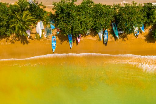 An aerial overhead shot of a tropical coast with boats and palm trees near the Caribbean sea