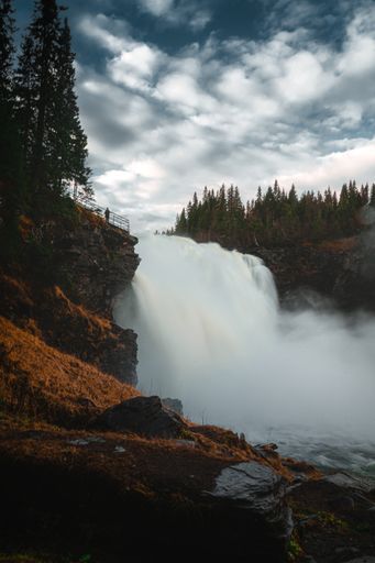 A waterfall flowing over the rocks surrounded by dense trees