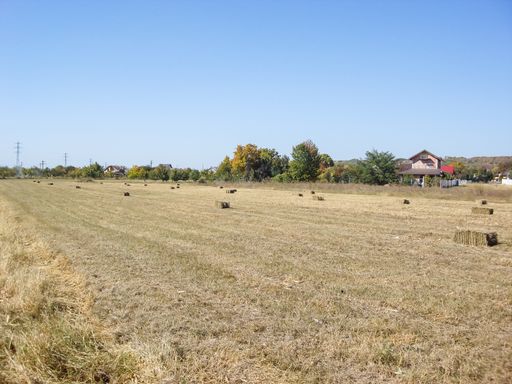 A scenic view of an agricultural field with straw bales after harvest