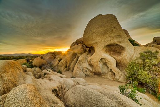 A beautiful view of the sunrise from the Skull rock in Joshua Tree National Park, California