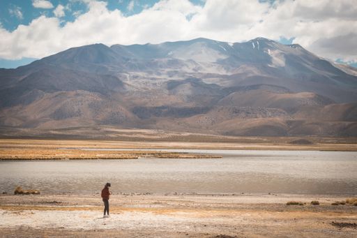 A female walking in summer near the lake