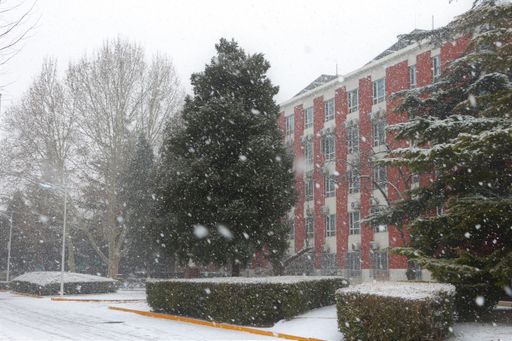 A beautiful shot of evergreen trees and leafless trees covered with snow in front of the university building