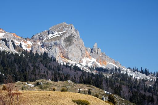 A scenic view of alps mountains with pine trees under a blue sky